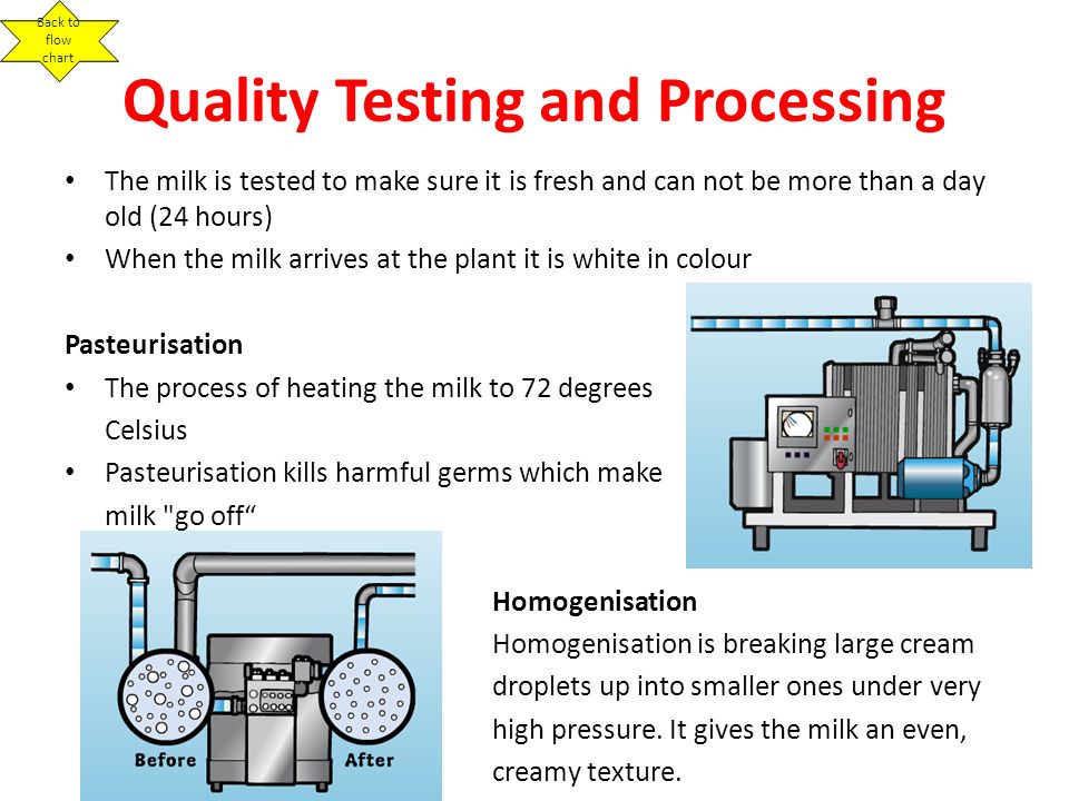 Processing Of Milk Flow Chart