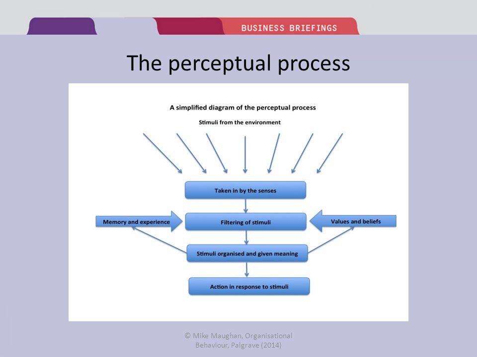The Perceptual Process The Perceptual Process Perception:, 51% OFF