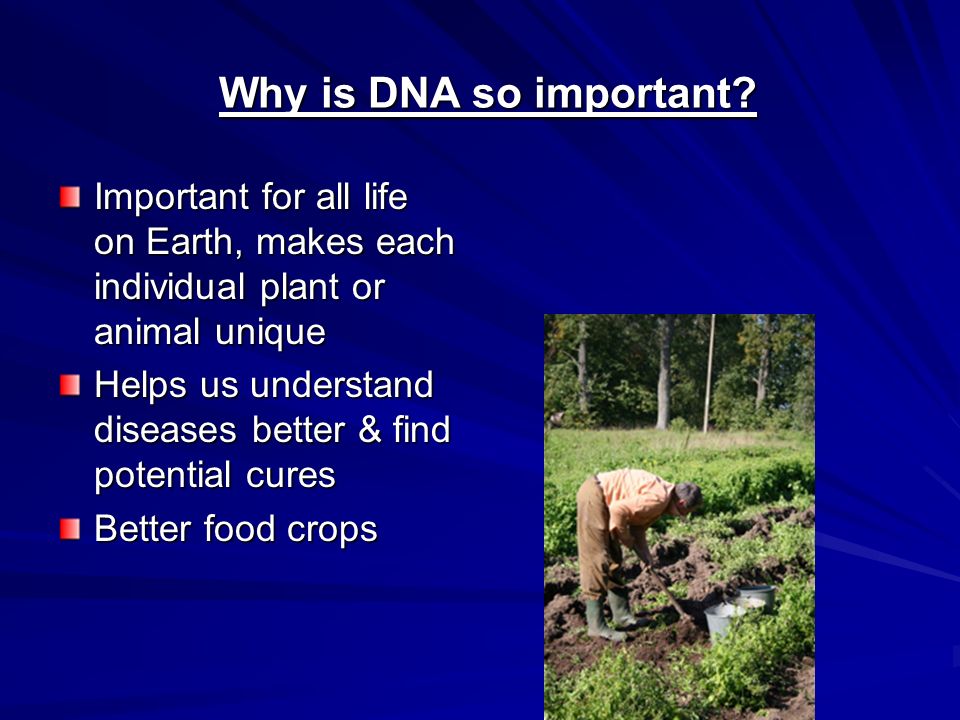 Why is DNA so important Important for all life on Earth, makes each individual plant or animal unique.