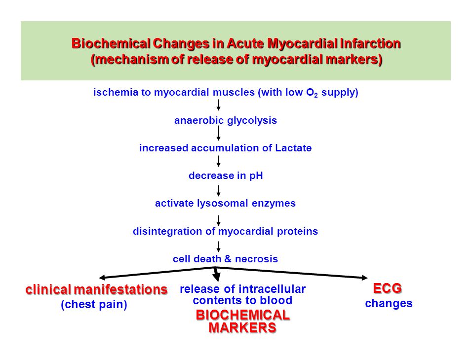 Biochemical Markers for Diagnosis of Myocardial Infarction - ppt video  online download