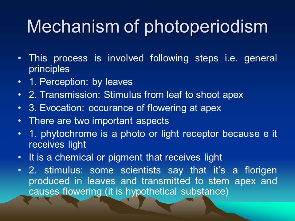 Photoperiodism. - ppt video online download