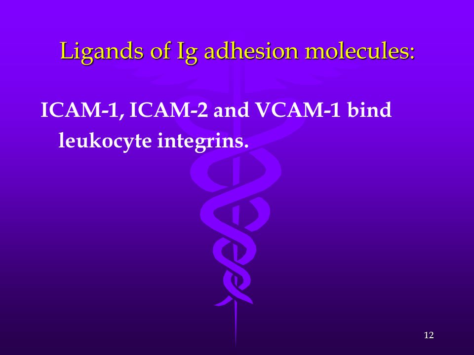 Ligands of Ig adhesion molecules: