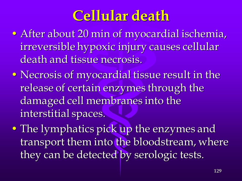 Cellular death After about 20 min of myocardial ischemia, irreversible hypoxic injury causes cellular death and tissue necrosis.