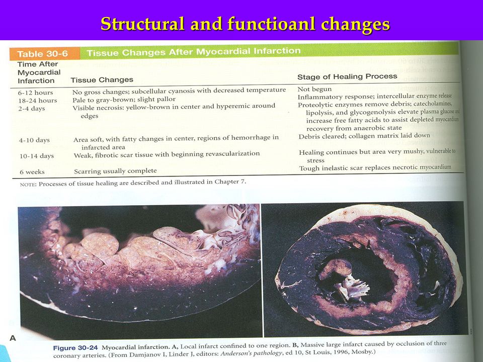 Structural and functioanl changes