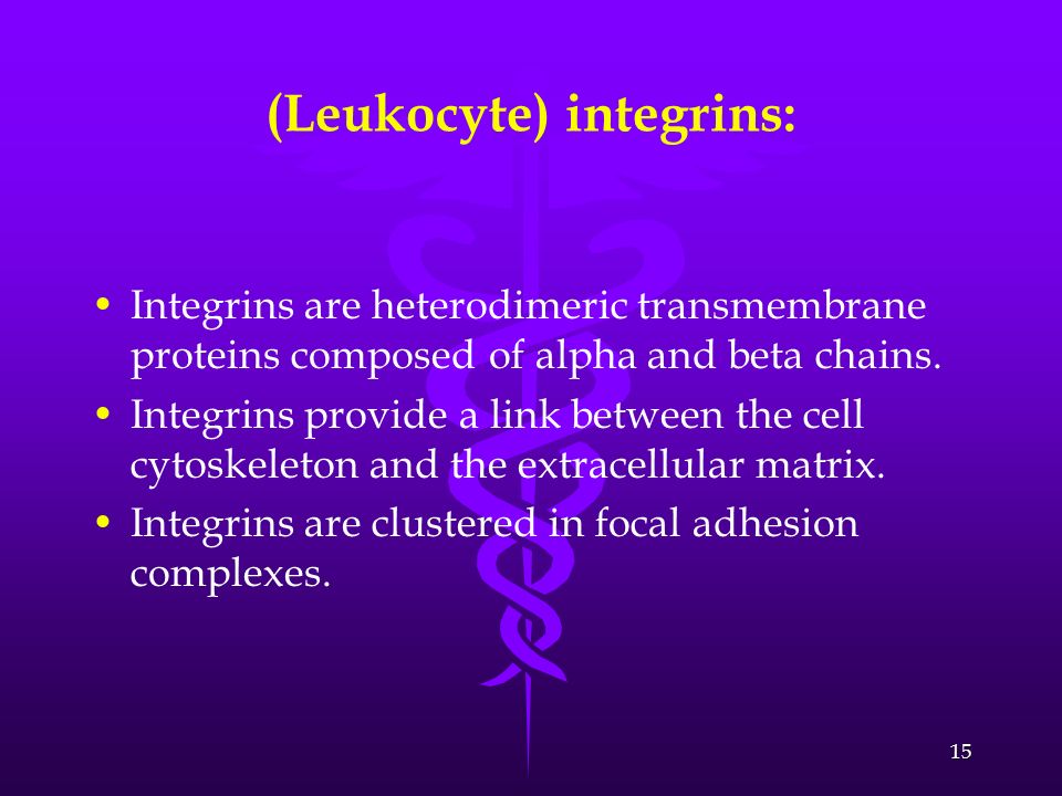 (Leukocyte) integrins: