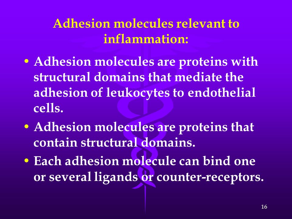 Adhesion molecules relevant to inflammation: