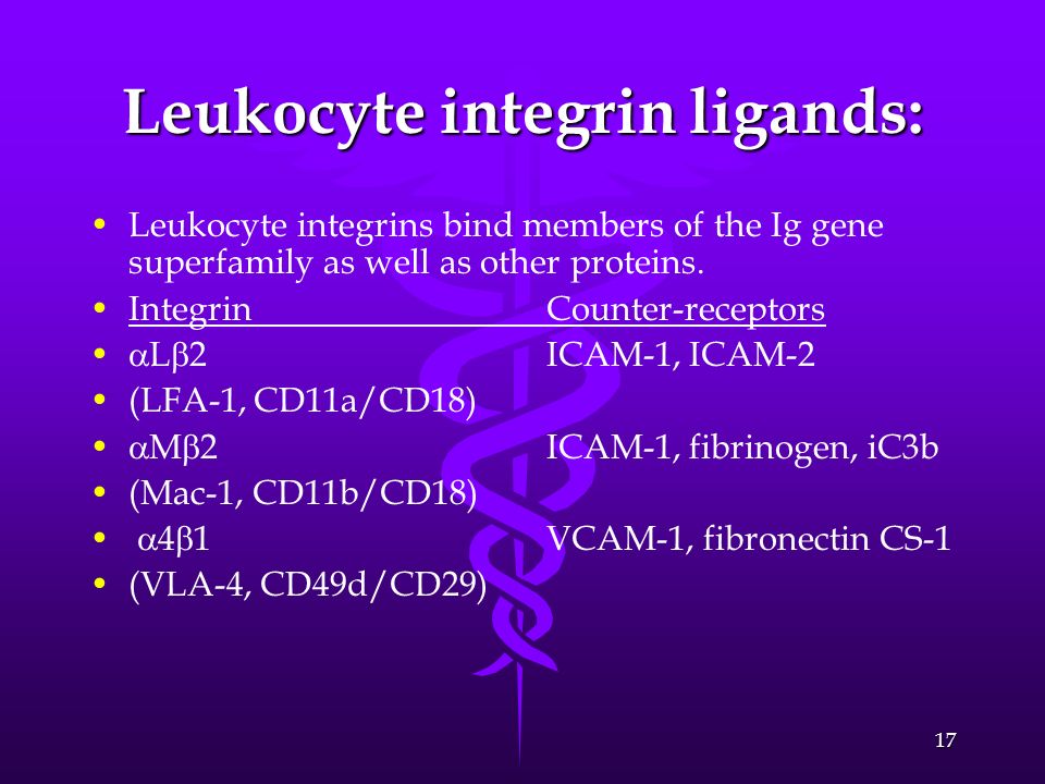 Leukocyte integrin ligands: