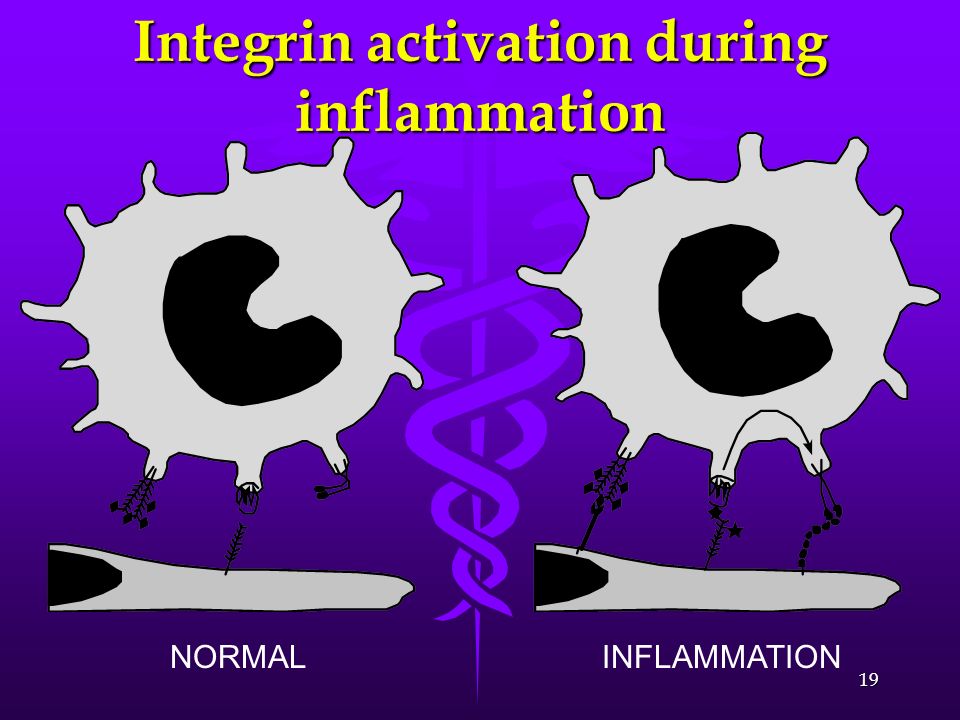 Integrin activation during inflammation