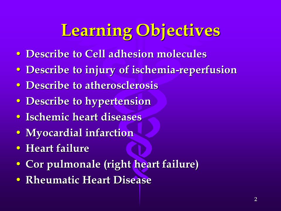 Learning Objectives Describe to Cell adhesion molecules