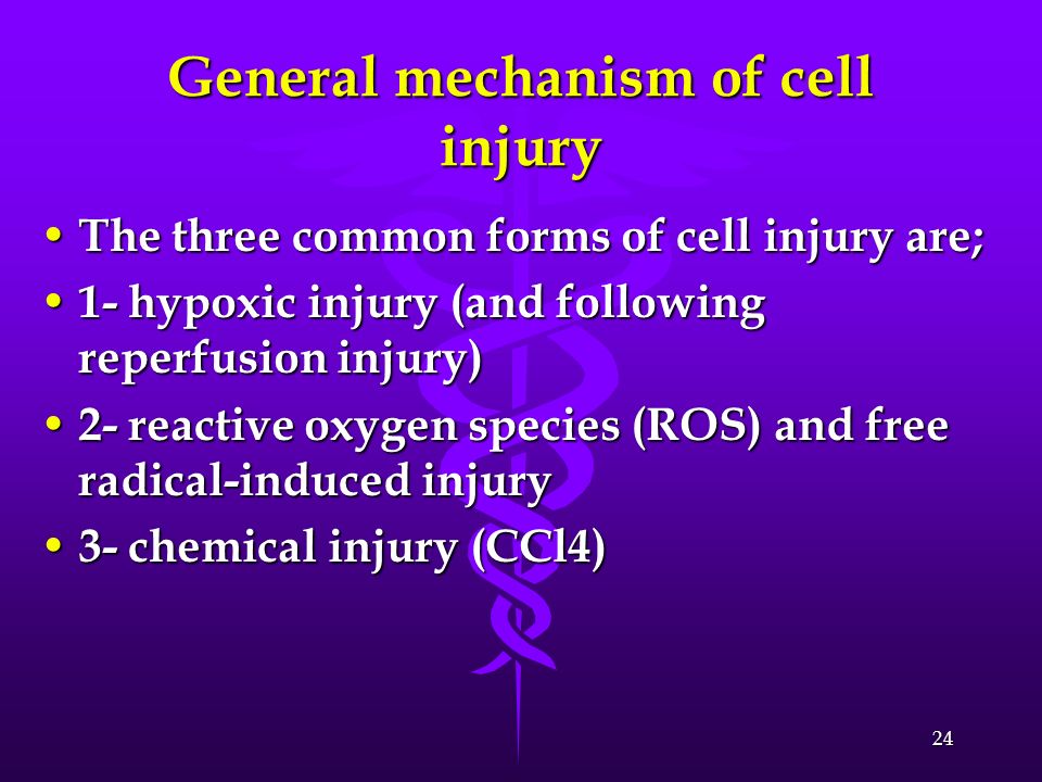 General mechanism of cell injury