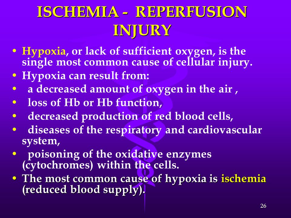ISCHEMIA - REPERFUSION INJURY