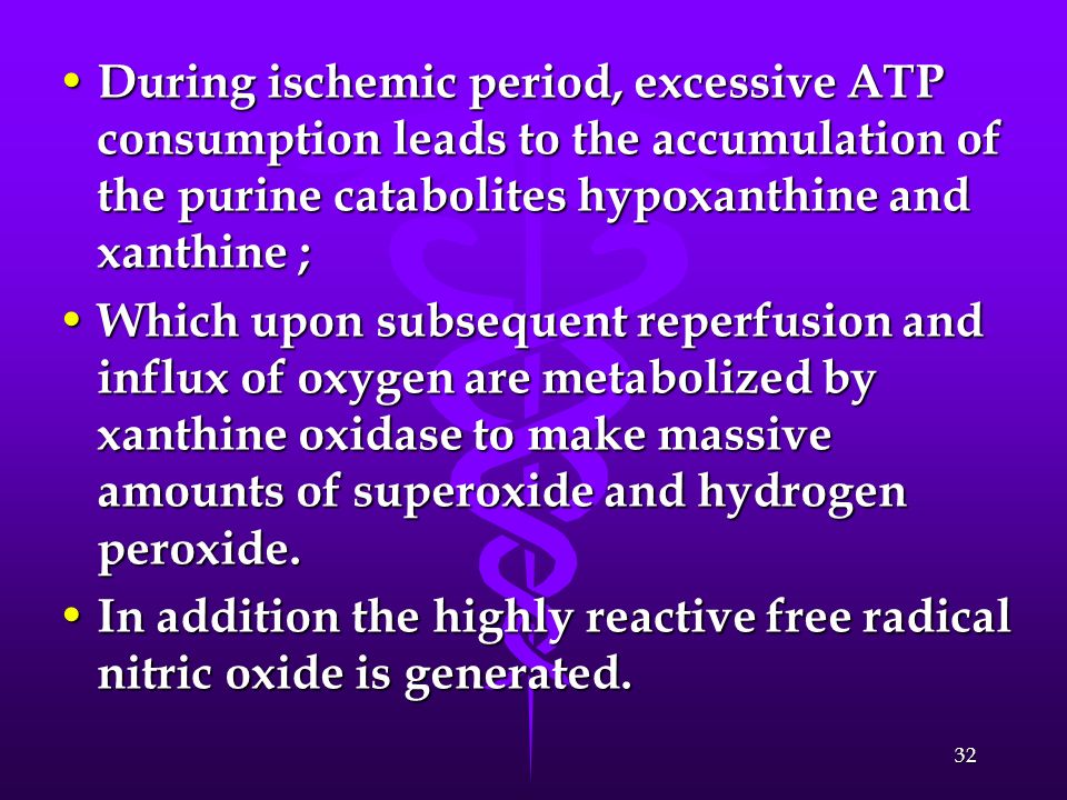 During ischemic period, excessive ATP consumption leads to the accumulation of the purine catabolites hypoxanthine and xanthine ;