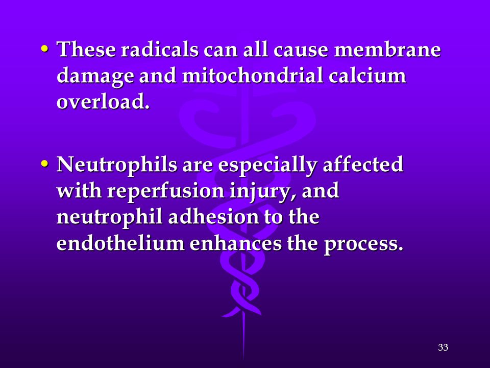 These radicals can all cause membrane damage and mitochondrial calcium overload.