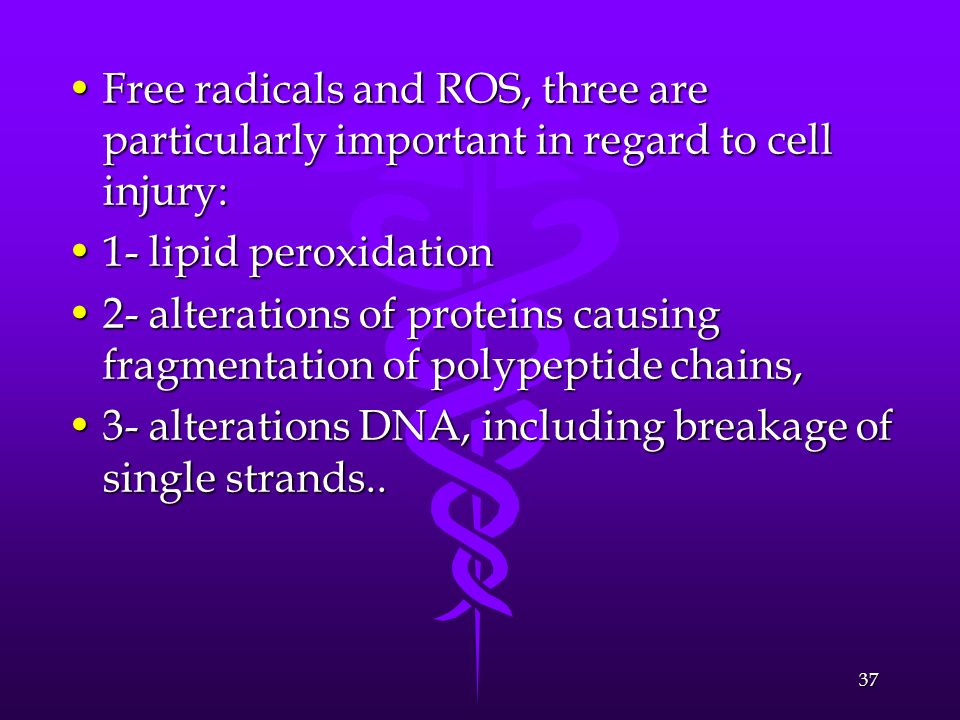 Free radicals and ROS, three are particularly important in regard to cell injury: