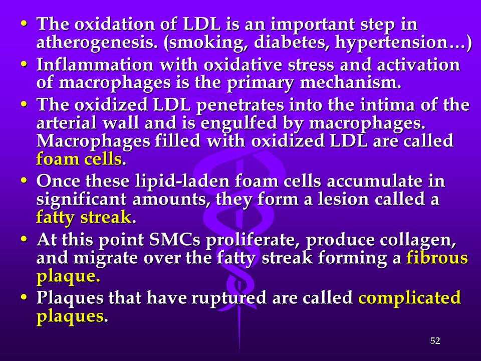 The oxidation of LDL is an important step in atherogenesis