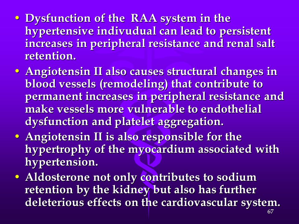 Dysfunction of the RAA system in the hypertensive indivudual can lead to persistent increases in peripheral resistance and renal salt retention.