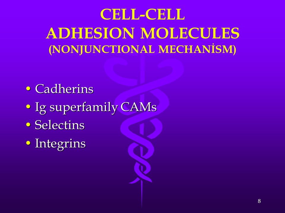CELL-CELL ADHESION MOLECULES (NONJUNCTIONAL MECHANİSM)