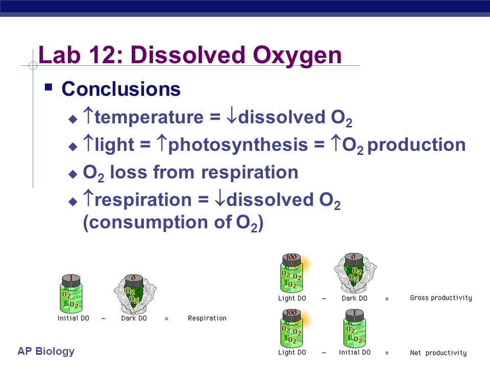 April 29, 2011 BellRinger Objectives Homework - Ppt Download