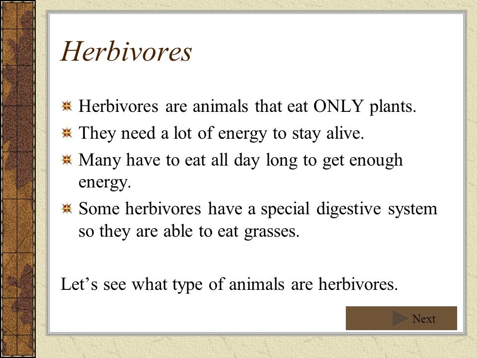 Carnivore, Herbivore, Omnivore, Scavengers and Decomposers . - ppt video  online download