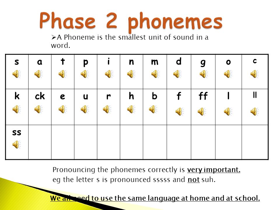 Parent Information Evening Phonics Ppt Video Online Download