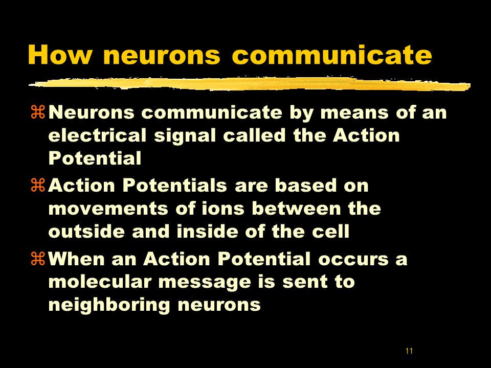 How neurons communicate