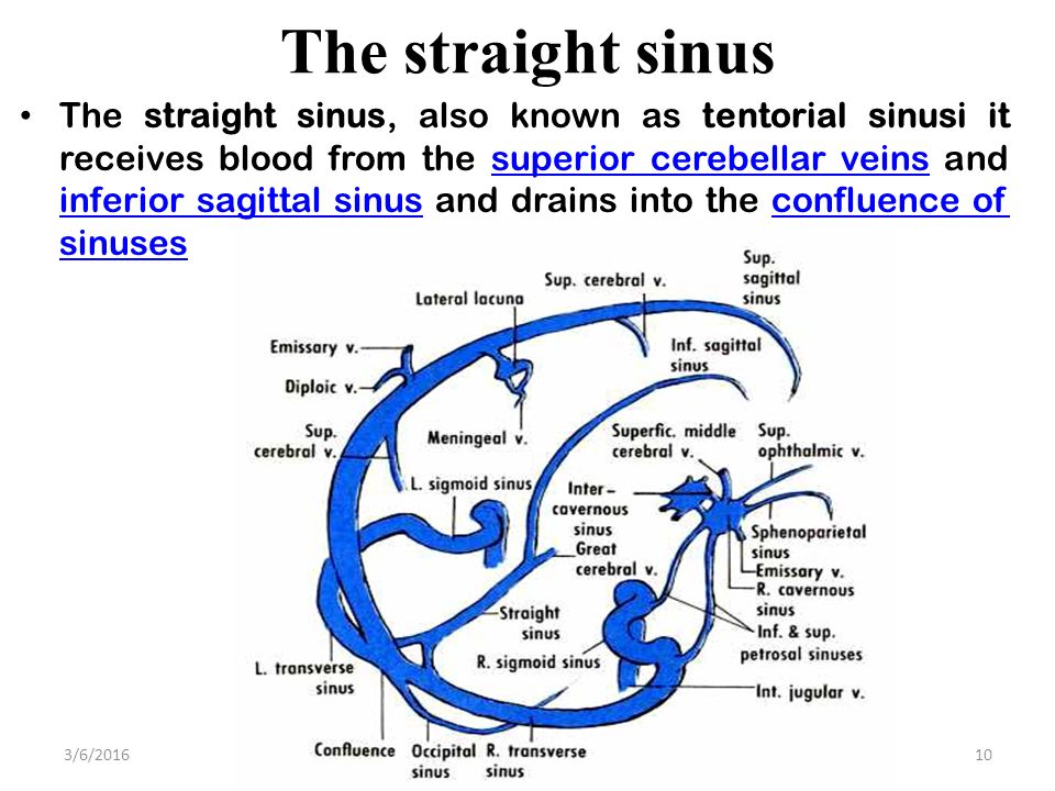 Dural Venous Sinuses 4 27 17 Lufukuja G Ppt Video Online Download Dural Venous Sinuses 4 27 17 Lufukuja G Ppt Video Online Download