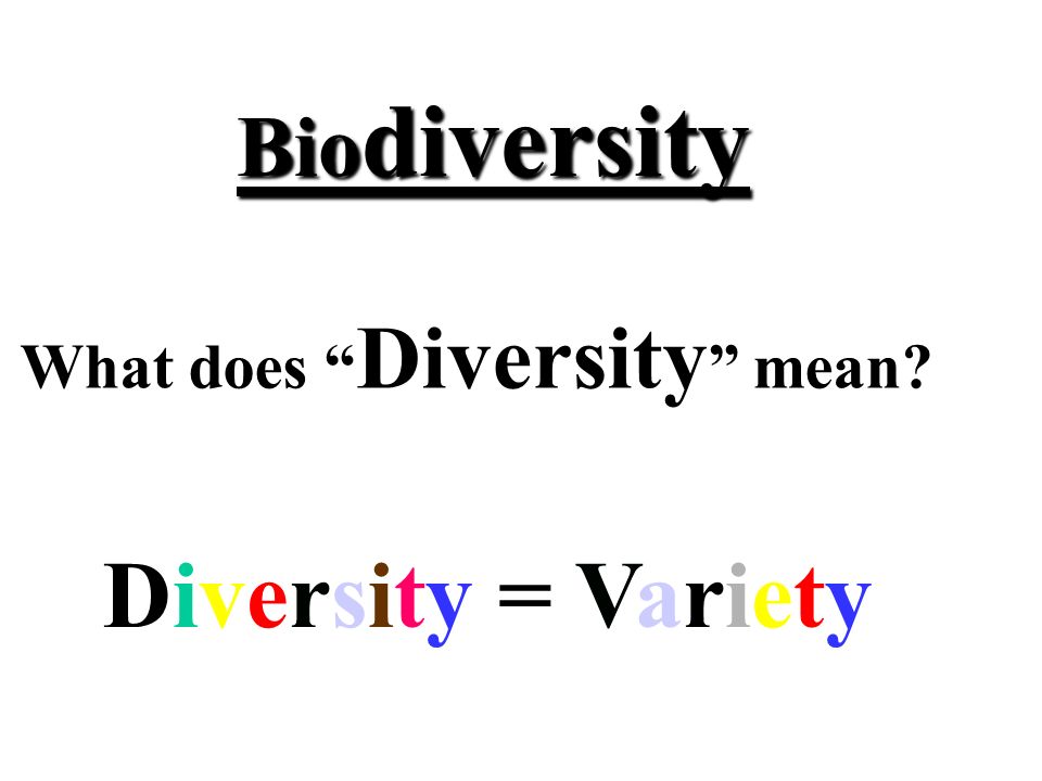 Biodiversity What does “Bio” mean? Life Bio =. Biodiversity What does “Bio”  mean? Life Bio = - ppt download