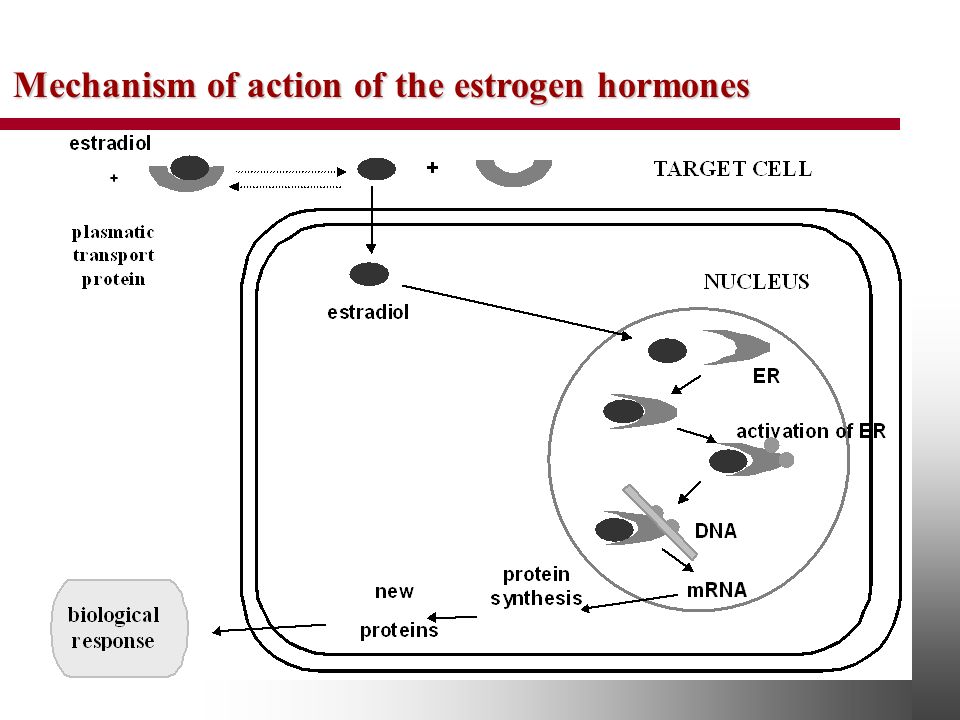 Mechanism of action. Estrogen mechanism Thrombosis scheme. Progesterone mechanism of Action. Estrogen and heparanase mechanism. Orlistat mechanism of Action.
