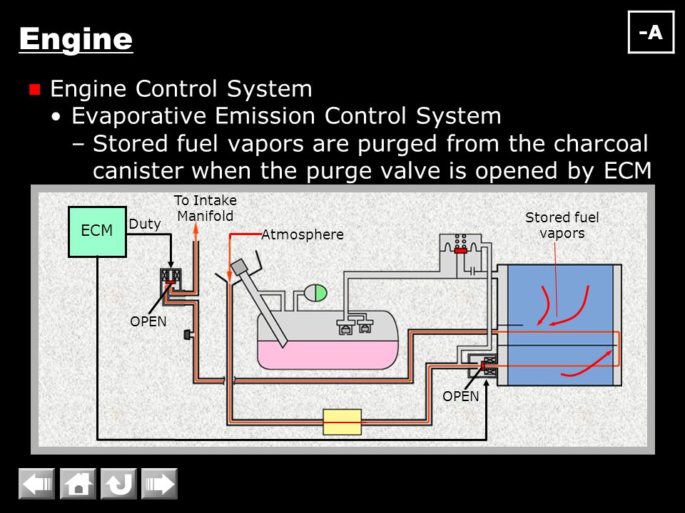 Engine Engine Control System Evaporative Emission Control System