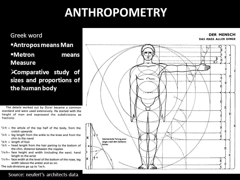 Architecture Design I Anthropometry Ppt Video Online Download