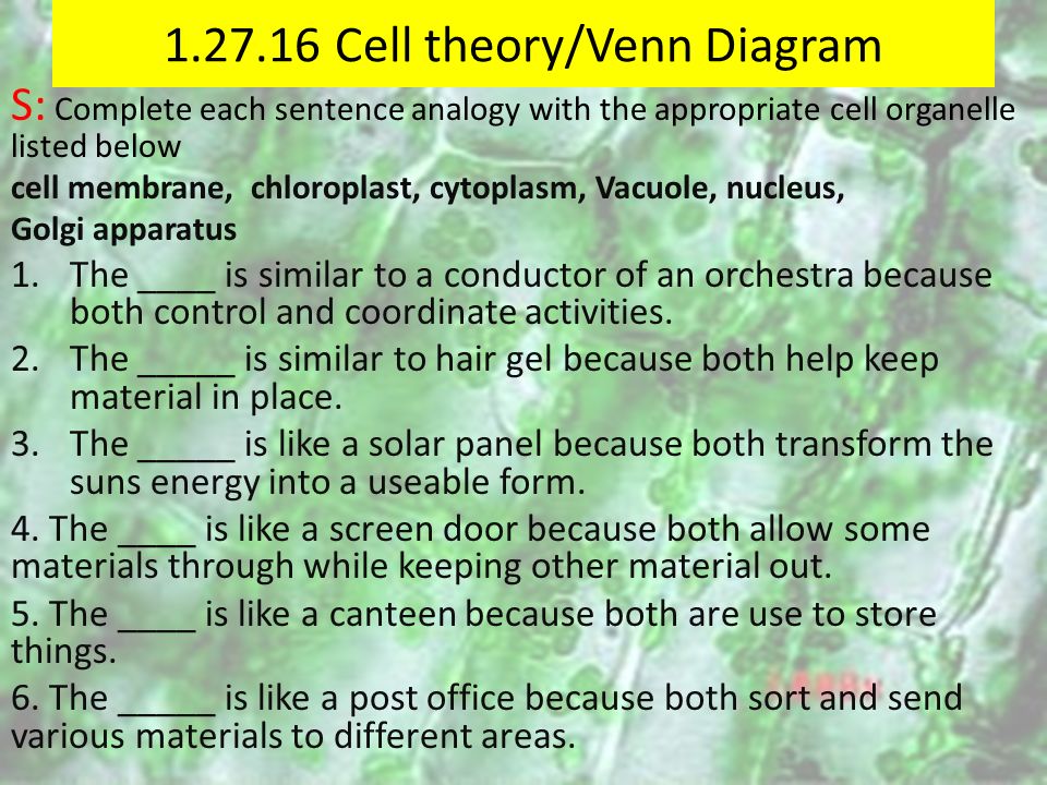 Cell theory/Venn Diagram