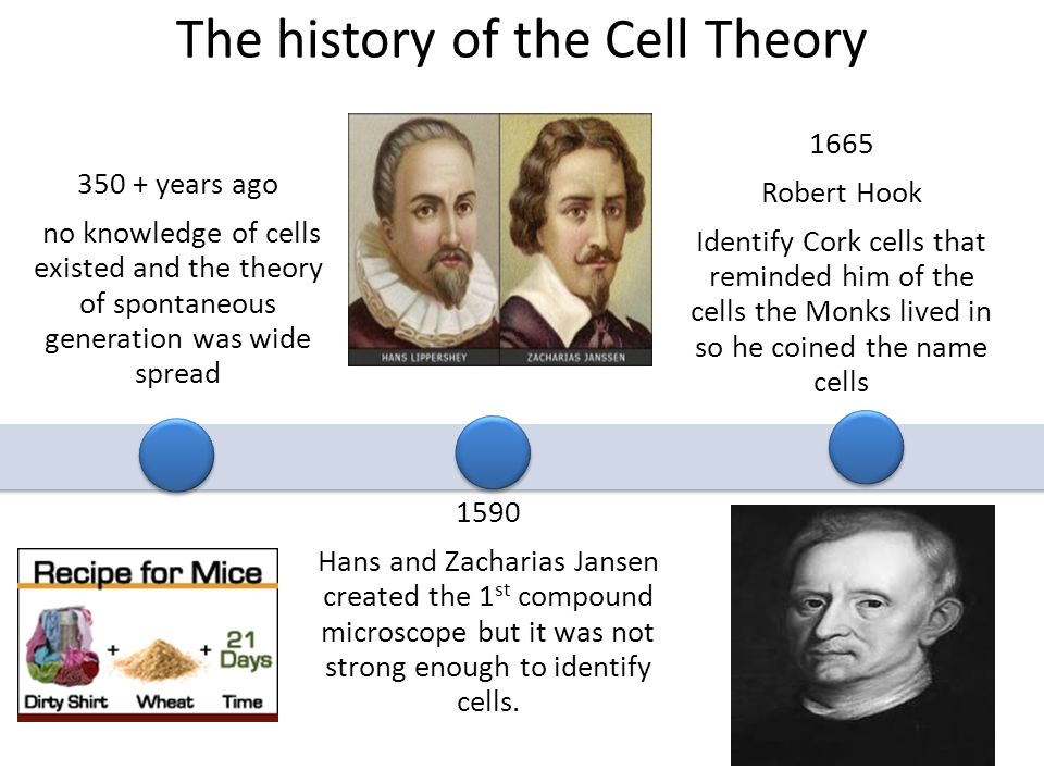 The history of the Cell Theory