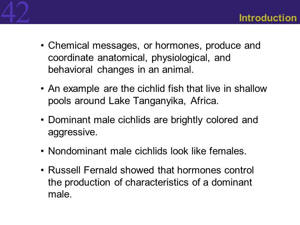 Animal Hormones. - ppt download