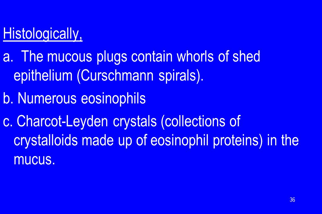Histologically, a. The mucous plugs contain whorls of shed epithelium (Curschmann spirals). b. Numerous eosinophils.