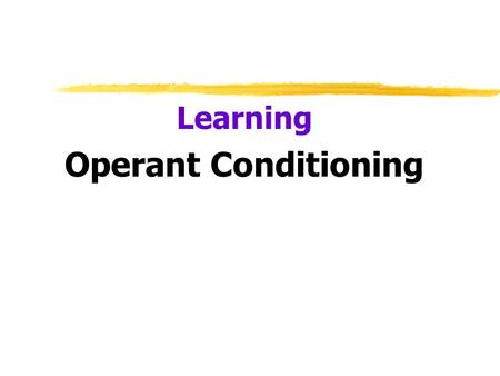 Learning Operant Conditioning.  Operant Behavior  operates (acts) on environment  produces consequences  Respondent Behavior  occurs as an automatic.