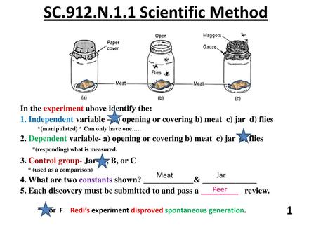 SC.912.N.1.1 Scientific Method 1 In the experiment above identify the: